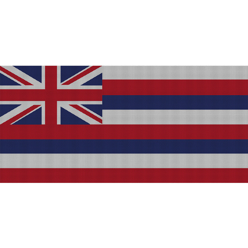 Hawaii State Flag
