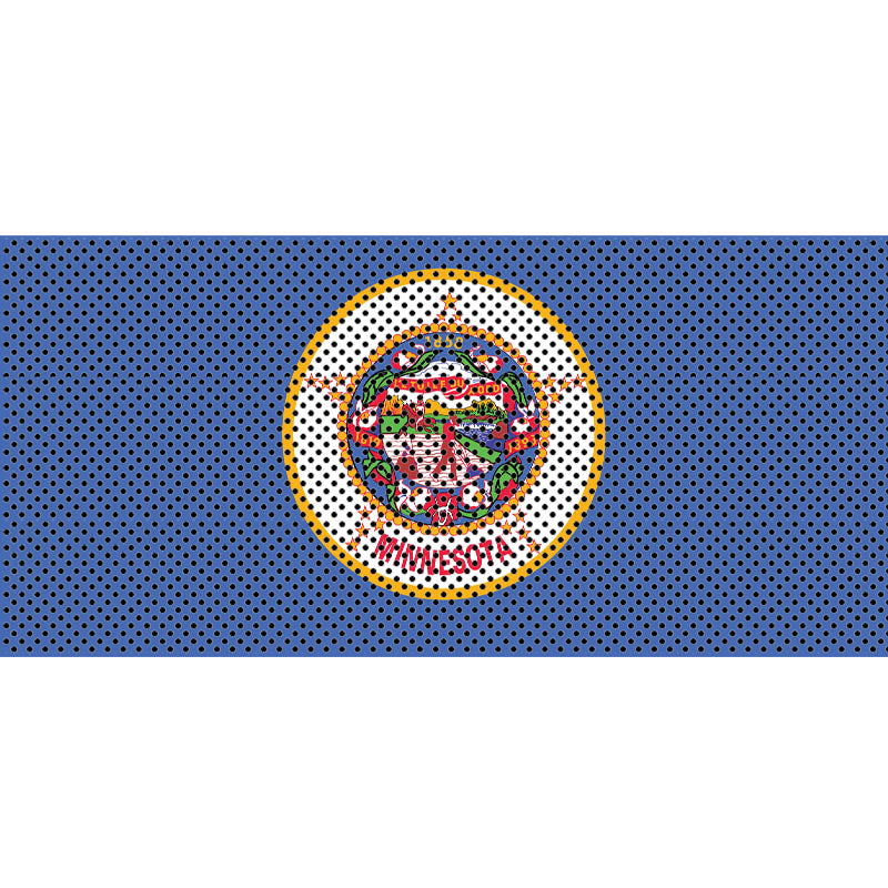 Minnesota State Flag