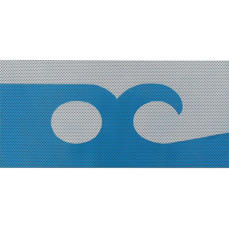 Ocean City Flag