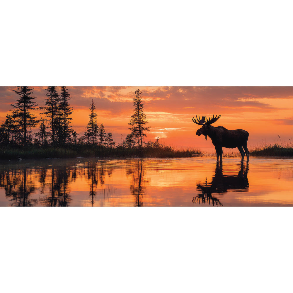 Moose Lake Rear Window Decal