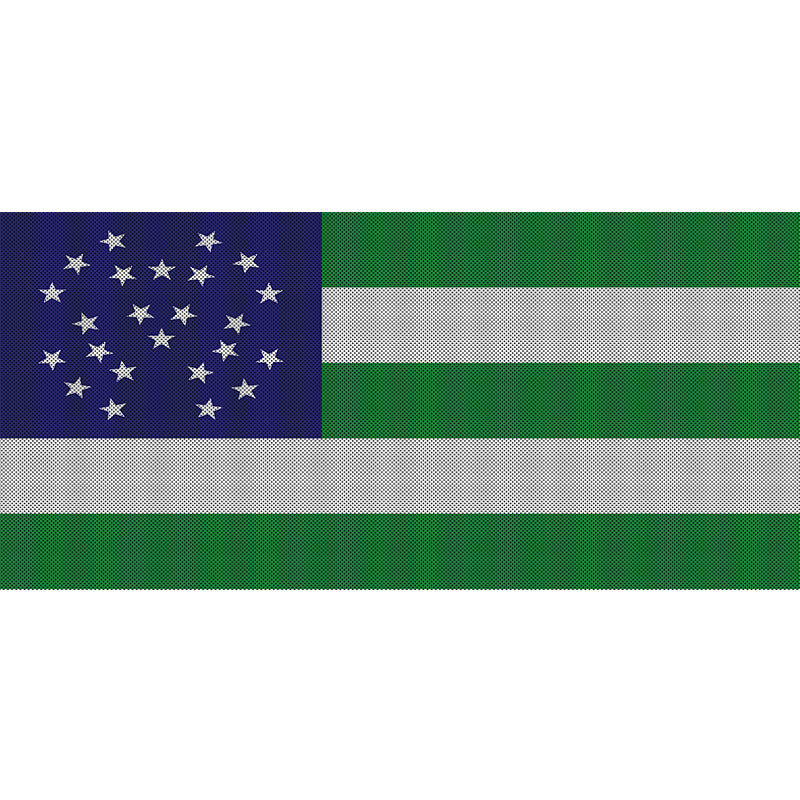 NYPD Flag