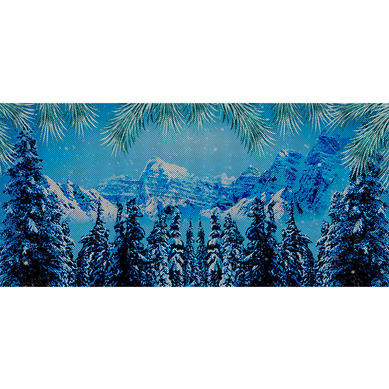 Winter Skyline