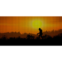 Orange Sky