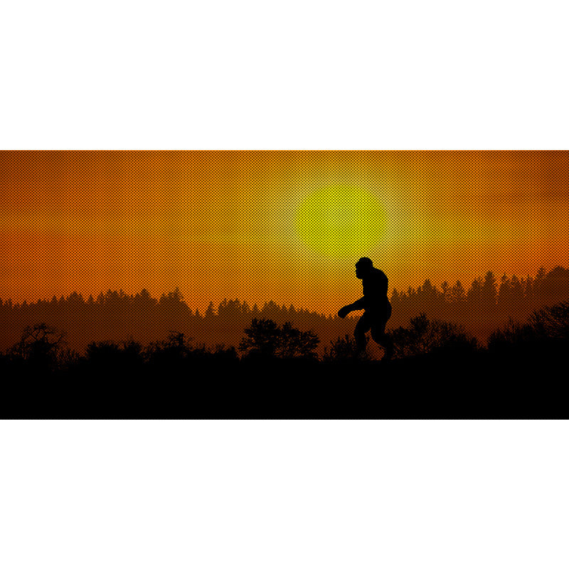 _Orange Sky-1
