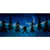 Blue Forest