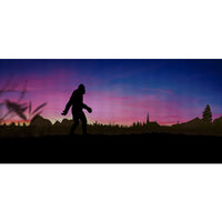 Purple Sky