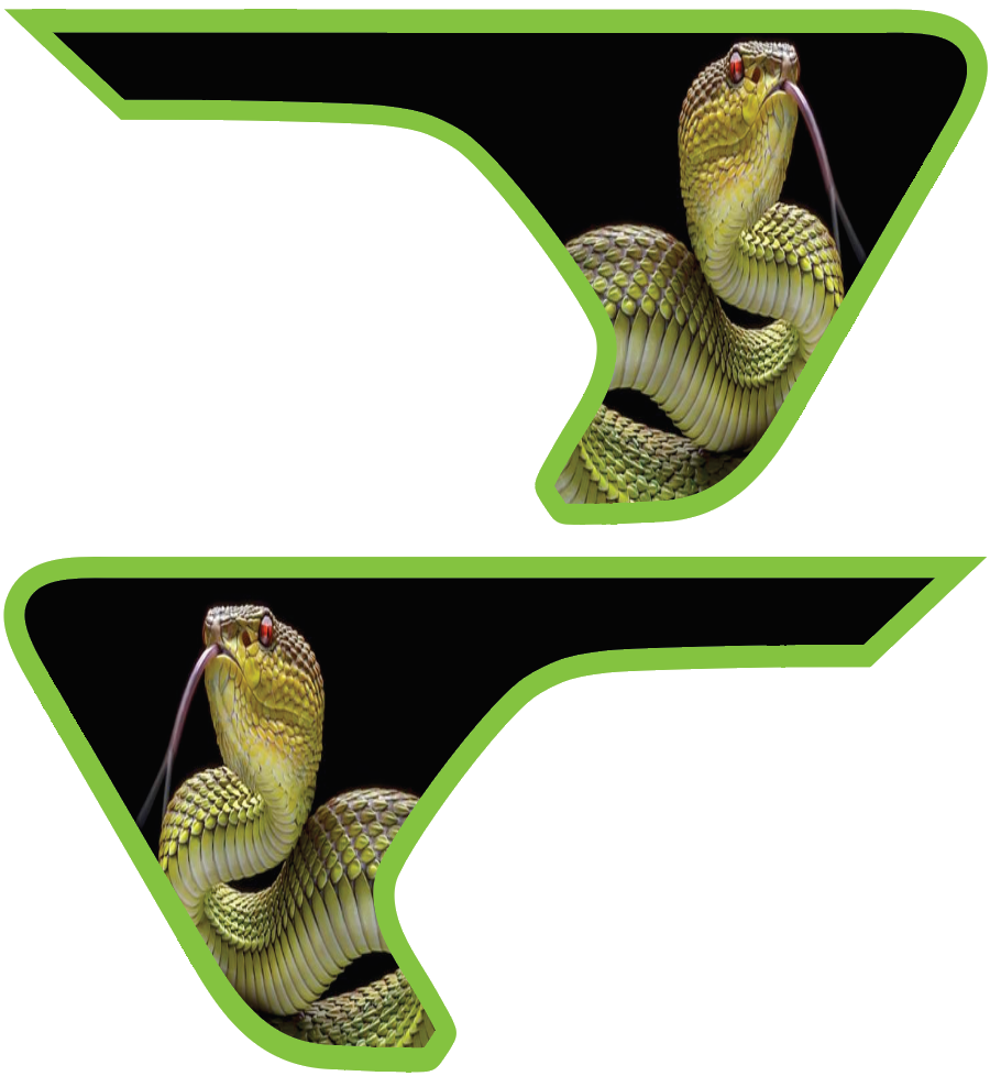 Custom Design 2pc Vinyl Fender Decal