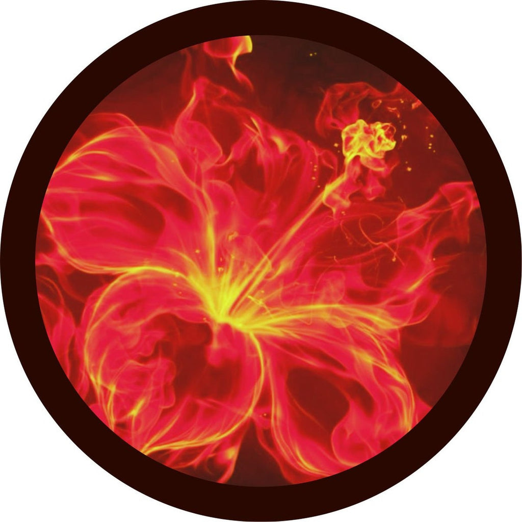 Hibiscus Fire Flower