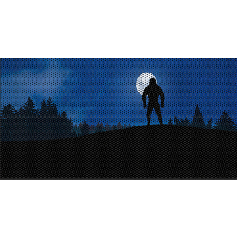 _Blue Sky-1